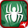 Spider Solitaire - Pro icon