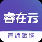 睿在云 Icon