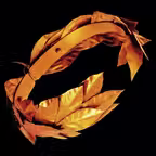 Via Claudia Augusta Icon