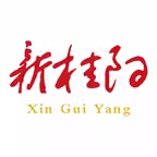 新桂阳 Icon