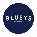 Blueys To Go Icon