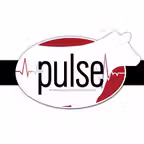 ThePulse - Sullivan Supply Icon