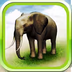 REAL ANIMALS HD Icon