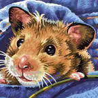 Hamster Puzzles iOS Icon