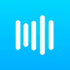 Voice Notes‎ iOS Icon