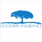 Goodwin Insurance Icon