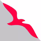 Air Arabia Icon