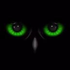 Night Eyes - Night Camera iOS Icon