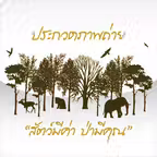 True Photo Contest iOS Icon