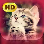 Cute Pics iOS Icon