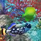 Fantasy Fishes Park iOS Icon