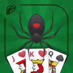Spider Solitaire 2025 iOS Icon