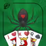 Spider Solitaire 2025 icon
