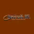 NEW CREDIT INC icon