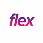 Flex Parking iOS Icon