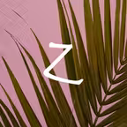 Zen - Peaceful Quotes Icon