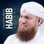 Maulana Abdul Habib iOS Icon