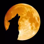 NightZout iOS Icon