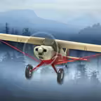 Airplane Fly Bush Pilot iOS Icon
