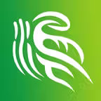 金温江 Icon