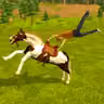 Horse Simulator