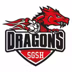 SGSH DRAGONS Icon