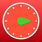 Pro Timer - Time Manager & Goal Tracker iOS Icon