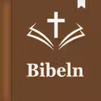 Swedish Holy Bible icon