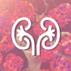 Kidney Handbook iOS Icon