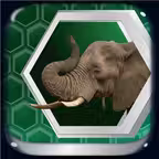 UlterioSafari iOS Icon