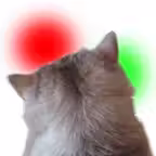 CatMind iOS Icon