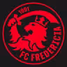 FC FREDERICIA icon