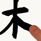 Chinese Writing Practice iOS Icon