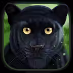 Wild Animal Simulators iOS Icon