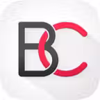 Bizz Connect: Networking Icon