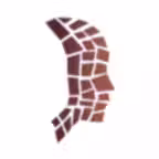 AMI Essentials: 3D Anatomy TH iOS Icon