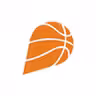 CZ.BASKETBALL icon
