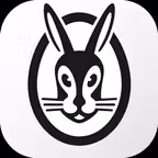 Pro.Expert iOS Icon
