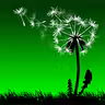 Leaf on the Wind icon