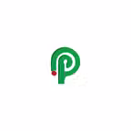 PausePoint iOS Icon