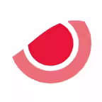LiLz Cam App Icon