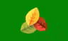 Elemental Control icon