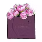 Miramira iOS Icon