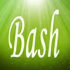 Bash IDE Fresh Edition iOS Icon
