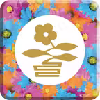 缤纷花诚 iOS Icon