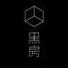 Dark room 黑房