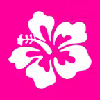 Hawaiian Words & Phrases! Hawaii Dictionary and Casual Language Translation Guide iOS Icon