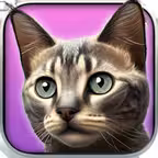 My Kitten (Cat Simulator) iOS Icon
