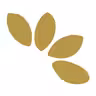 Illedi icon