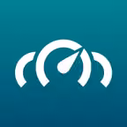 RealDash Icon